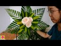 Flower of the altar set 41 | GOD OF 3 GOD ROSE Flowers Tutorial