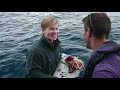 Robert Irwin Swims With Great White Sharks For The First Time! | Crikey! It's Shark Week