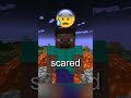 The Sad Lore Of The Villager Virus In Minecraft