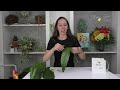 Aspidistra Techniques: Framing Floral Techniques Companion Video