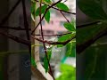 Rain drop#ytviral #viral #rain #foryou #shortsviral #trendingshorts #raindrops #shortvideo #ytshorts