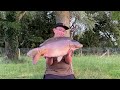 Angler’s Paradise: 48 Hours of Carp Fishing at Blasford Hill Fishery