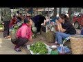 Harvest bitter melon and go to the traditional market to sell - dailylife | Hoàng Chung