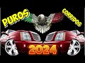 Puros Corridos Perrones 💥 Puras Perronas Para Pistear Mix 2024 💥 Lo más Chingon de corridos