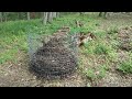 2024 07 11 Compost Pile Update