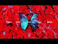 Ed Sheeran - Visiting Hours [Official Lyric Video]