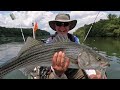 The 4S Method for Catching Big Stripers: Slow-Start-Stop-Swerve