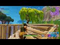 Fortnite Win with 2 God Snipes.