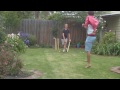 Backyard Cricket 2012