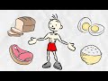 Guide to Macros for Building Muscle (How to Track Your Macros) | Fitness Animated