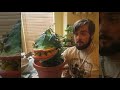 Audrey 2 puppet DIY.