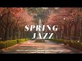 [𝗟𝗜𝗙𝗘 & 𝗝𝗔𝗭𝗭] Spring with sunshine and jazz melodies 🌸🌞| Jazz Piano Music️🎹