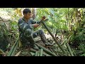 The man survives alone - builds shelter on tree stump - in rainforest - heavy rain