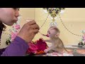 Baby Monkey A Tong Hug Mom's Hand Ask To Go Market With