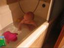 Cat and baby play in the bath