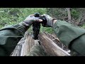 Forest POV Bear Photography | Close Encounter