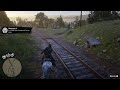 Red Dead Redemption 2_20240720005820