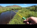 SMALL STREAM CHALLENGE (fly fishing)