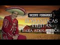 VICENTE FERNANDEZ MEJORES CANCIONES - VICENTE FERNANDEZ 40 GRANDES ÉXITOS MIX