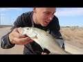 Fishing A RAGING Desert Canal (Surprise Catch)