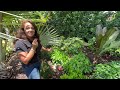 GardenTour 7: Step into this Private Front Yard Paradise: Tropical Garden Tour….See Inside :)))