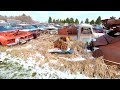 YARD FULL of OLD CAR DREAMS! Multiple Rows of Classic Cars in THIS Salvage Yard! (Junkyard Tour)