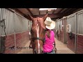 Casey Deary – Teach Stop and Deaf Horse Tips 1