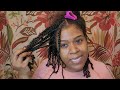 Mini Twists on Natural Hair - No Hair Added | Easy Protective Styling Using Only 2 Products