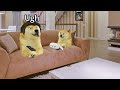 Lil doge pranks his family!