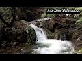 Sounds of a waterfall stream and the soothing sounds of birds that  help you calm,relax,sleep,ASMR