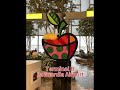 Romero Britto Fine Art Gallery Tour