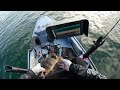 San Diego Harbor Bay Hobie Kayak Fishing ￼Halibut Spotted Bass