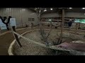 Feeding birds at the bird aviary at Wildlife Ranch Safari park in Schertz, Texas on 4-9-24