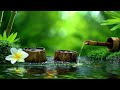 Relaxing Music and The Sound of Water to Relieve Worry and Anxiety 🌿 Relieve Stress