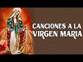 🍁Alabanza a Virgen María 🍁Que Su Luz de Madre Nos Ilumine Siempre, Virgen Santa🍒