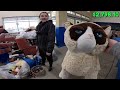 Buying Unwanted Goodwill Donations for CHEAP