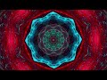 The Splendor of Color Kaleidoscope Video v1.1 Colorful Psychedelic Fractal Flame Visuals to Trip On