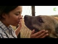 Friend with a hyena (Kevin Richardson)