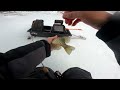 Wisconsin Ice Fishing Crappies 2024 (Limit out on Crappies within a HOUR)