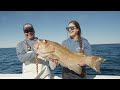 RECORD BREAKING Grouper! Catch, Clean, Cook! Dauphin Island, Alabama