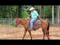 Mastering the Horse Backup: A Step-by-Step Training Guide