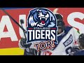 Straubing Tigers 24/25 CHL Goal Horn