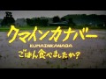 映画恋愛 - 映画 無料 - トマトの愛の映画 - 映画のHD 2016