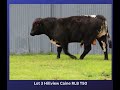 Lot 3 Hillview Caine RLB T50