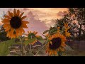 Sunflowers And Clouds s With Nature Sounds For Relaxation