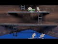 Cat Tv games for cats to watch cute mice hide & seek and play on screen 4k UHD 8 hours