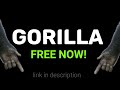 GORILLA IS OUT NOW!