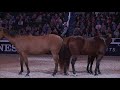 WIHS: Guy McLean Demonstration