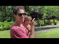 4 Best Road to Hana Waterfall Stops | Twin Falls, Waikana Falls, Pua'a Ka'a, Hanawi Falls + a bonus