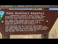 Paul Bunyan's Woodpile